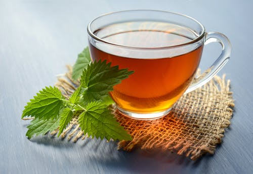 glass cup of mint herbal tea with mint leaves