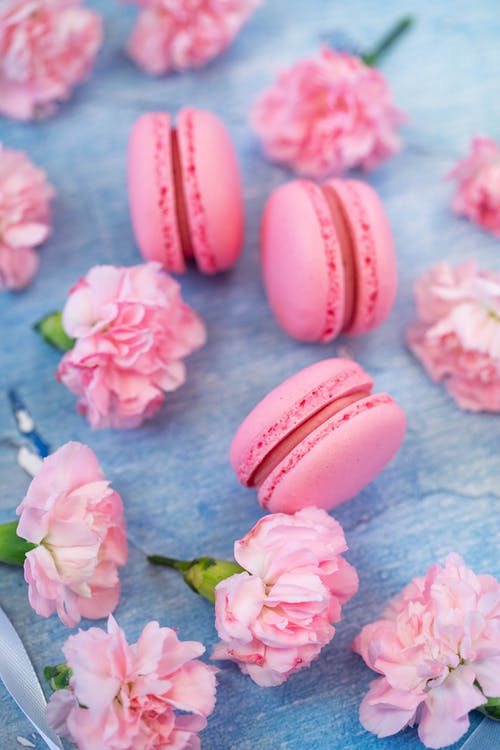 pink macarons with pink flowers on blue background